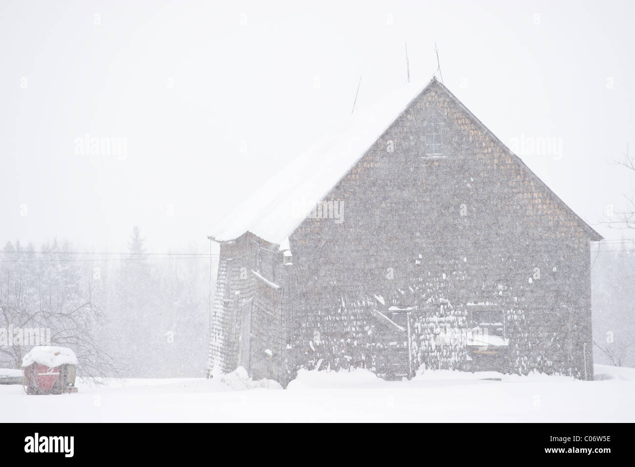 Capeado graneros en invierno tormenta de nieve en el este de Canadá Foto de stock