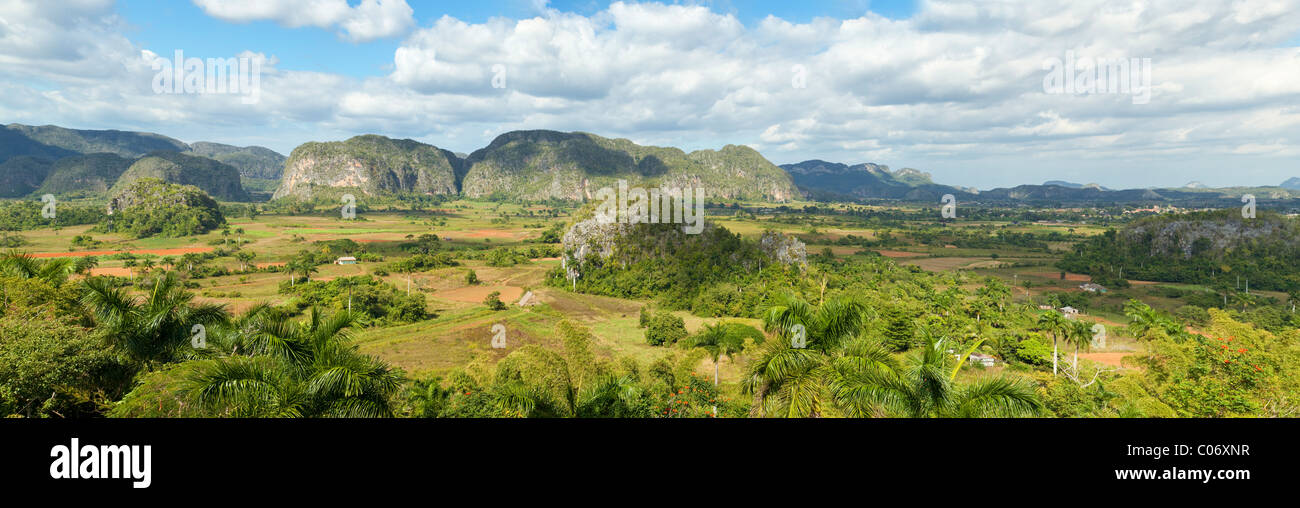 Cuba, Pinar del Río, la región, el Valle de Viñales Viñales (Área). Mogotes de piedra caliza proporcionan un telón de fondo a los campos de tabaco y maíz. Foto de stock