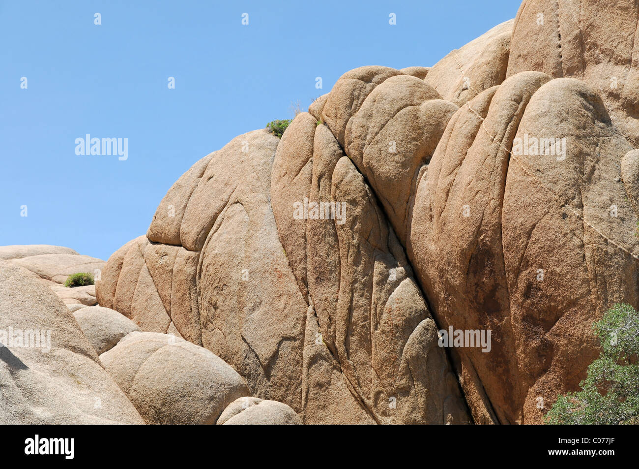 Monzogranito formaciones, el Parque Nacional Joshua Tree, Palm Desert, California del Sur, Estados Unidos, América del Norte Foto de stock