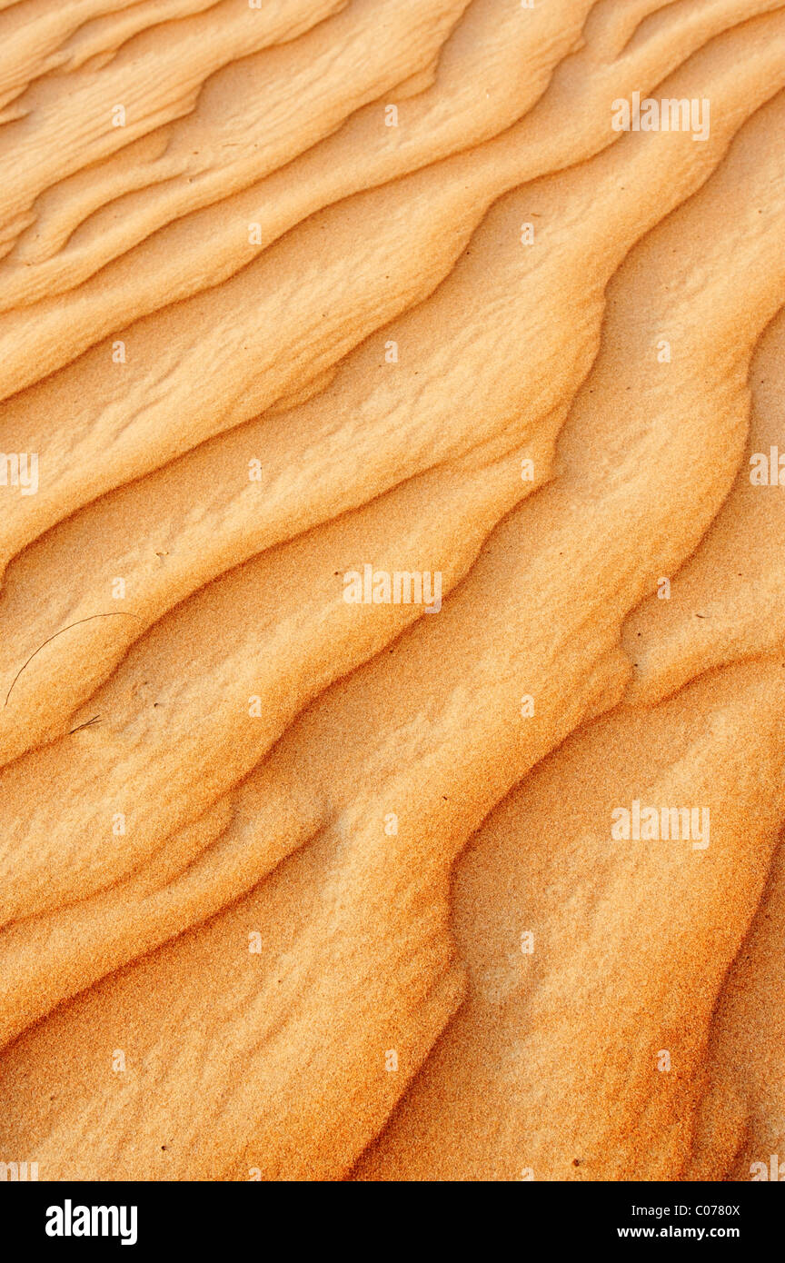 Superficie de dunas, Wahiba Sands, Omán, Oriente Medio Foto de stock