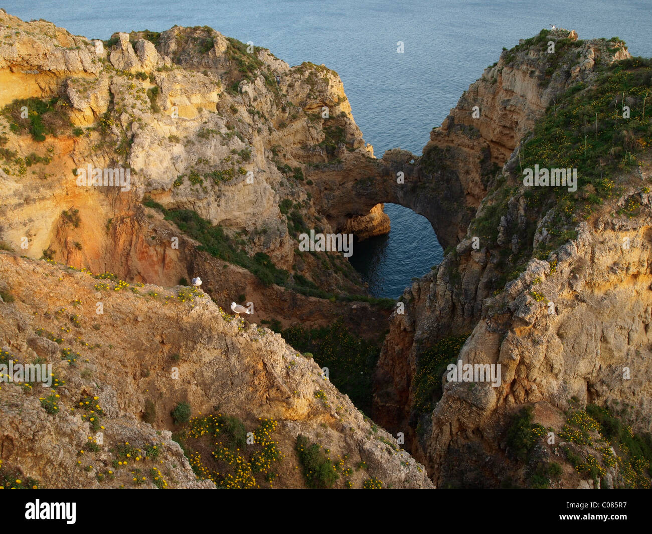 Formaciones de roca en el cabo Ponta da Piedade cerca de Lagos en la luz de la tarde, Algarve, Portugal, Europa Foto de stock
