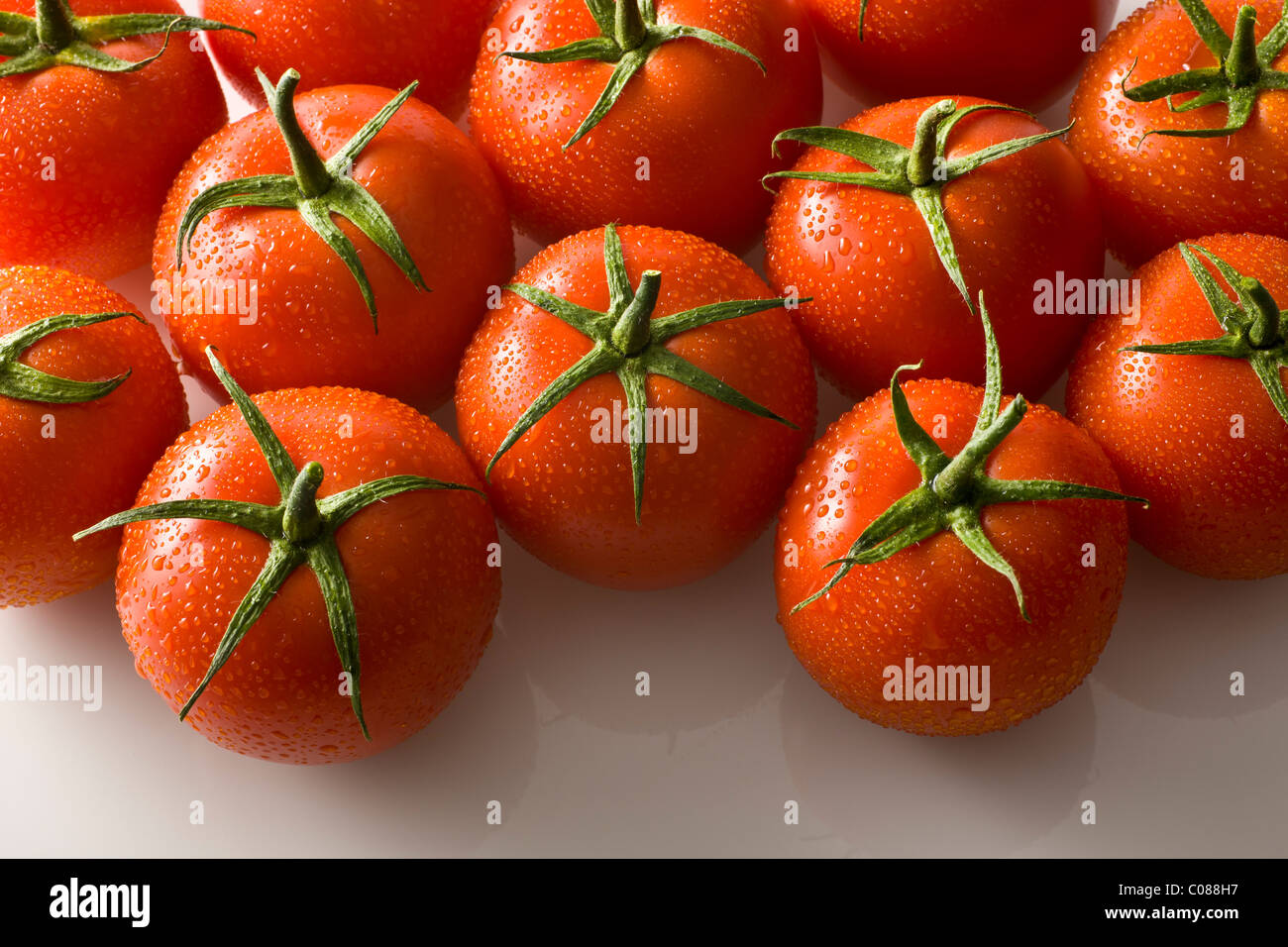 Vid tomates frescos sobre un fondo blanco. Foto de stock