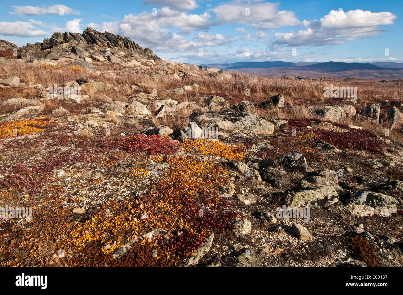 Colores de otoño de la tundra en el paisaje rocoso en el dedo a lo largo de la montaña Dalton Highway, interior de Alaska, caída Foto de stock