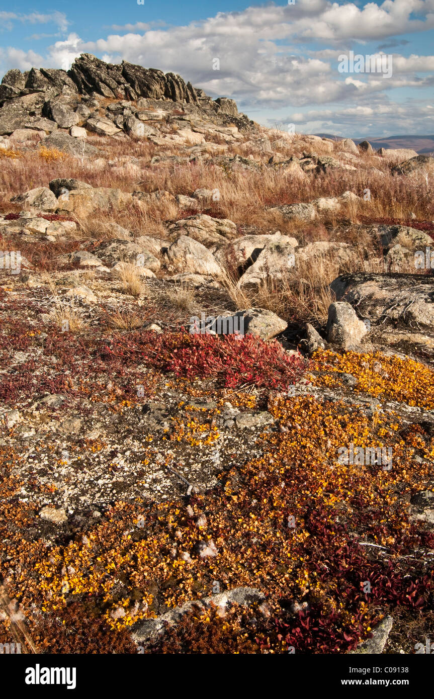 Colores de otoño de la tundra en el paisaje rocoso en el dedo a lo largo de la montaña Dalton Highway, interior de Alaska, caída Foto de stock