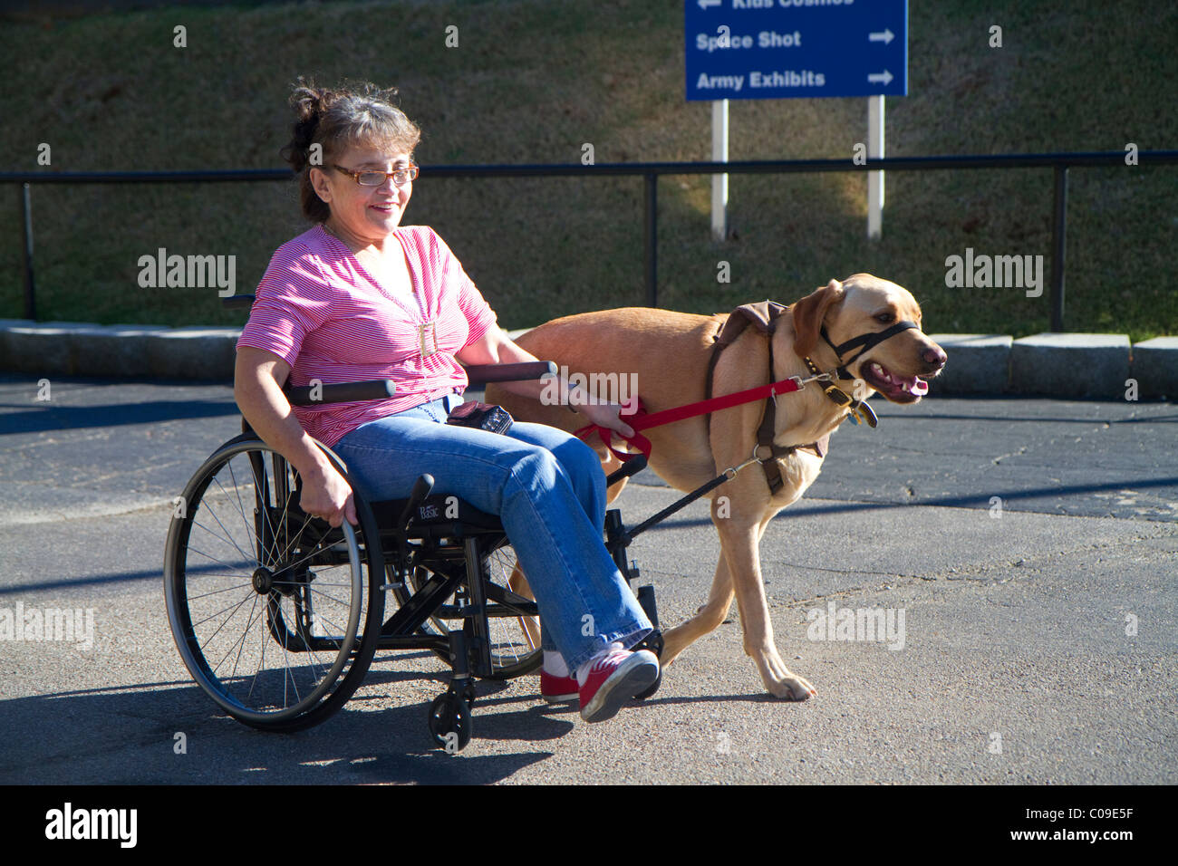Mujer discapacitada en una silla de ruedas con un perro de servicio para obtener ayuda. Foto de stock