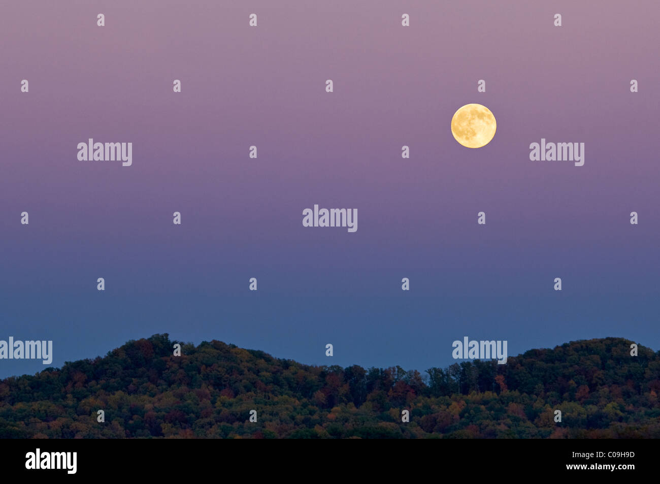 Luna sobre las colinas boscosas en Daniel Boone National Forest en Whitley County, Kentucky Foto de stock