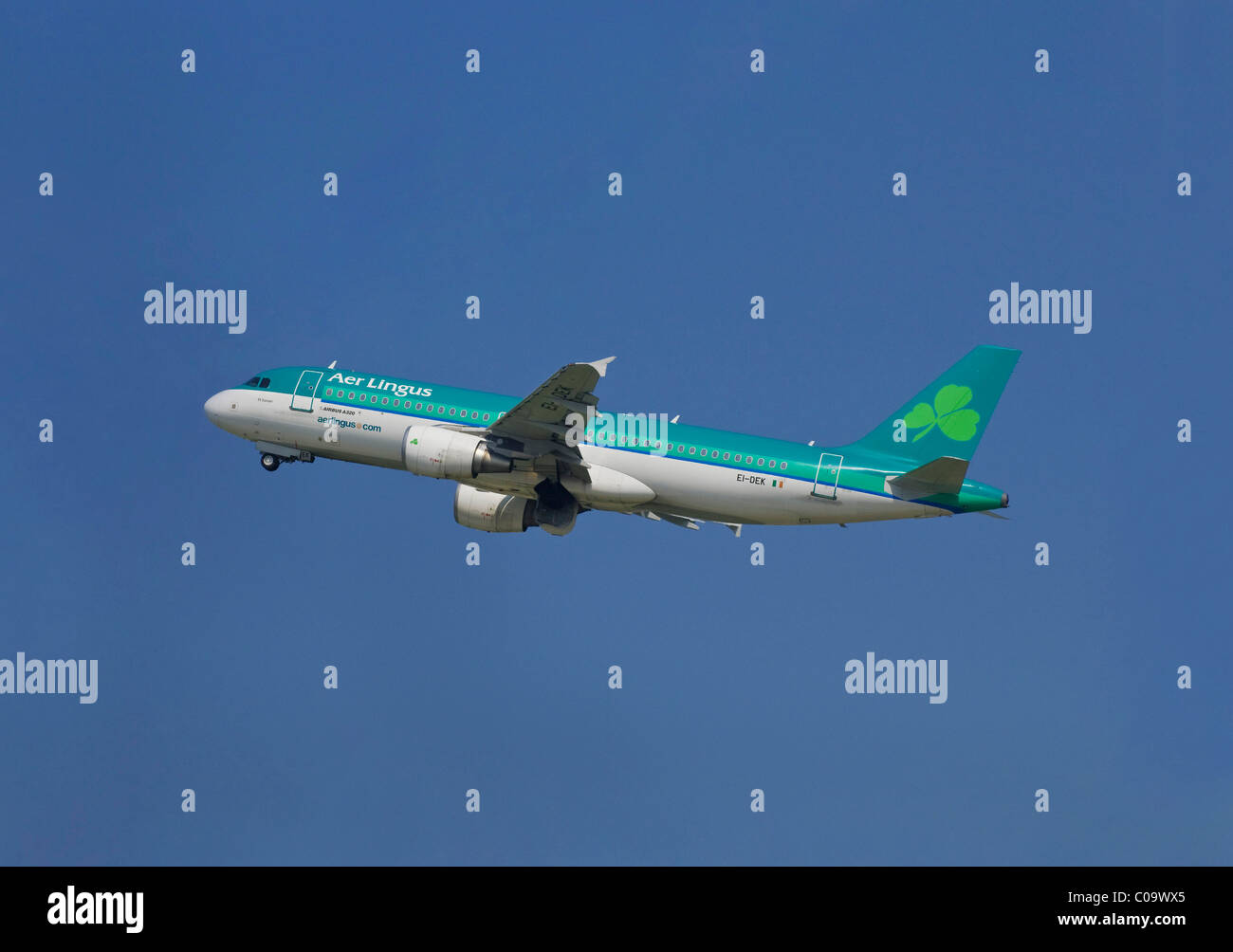 Avión de pasajeros de la compañía aérea irlandesa Aer Lingus, Airbus A320-214, subir contra el cielo azul Foto de stock