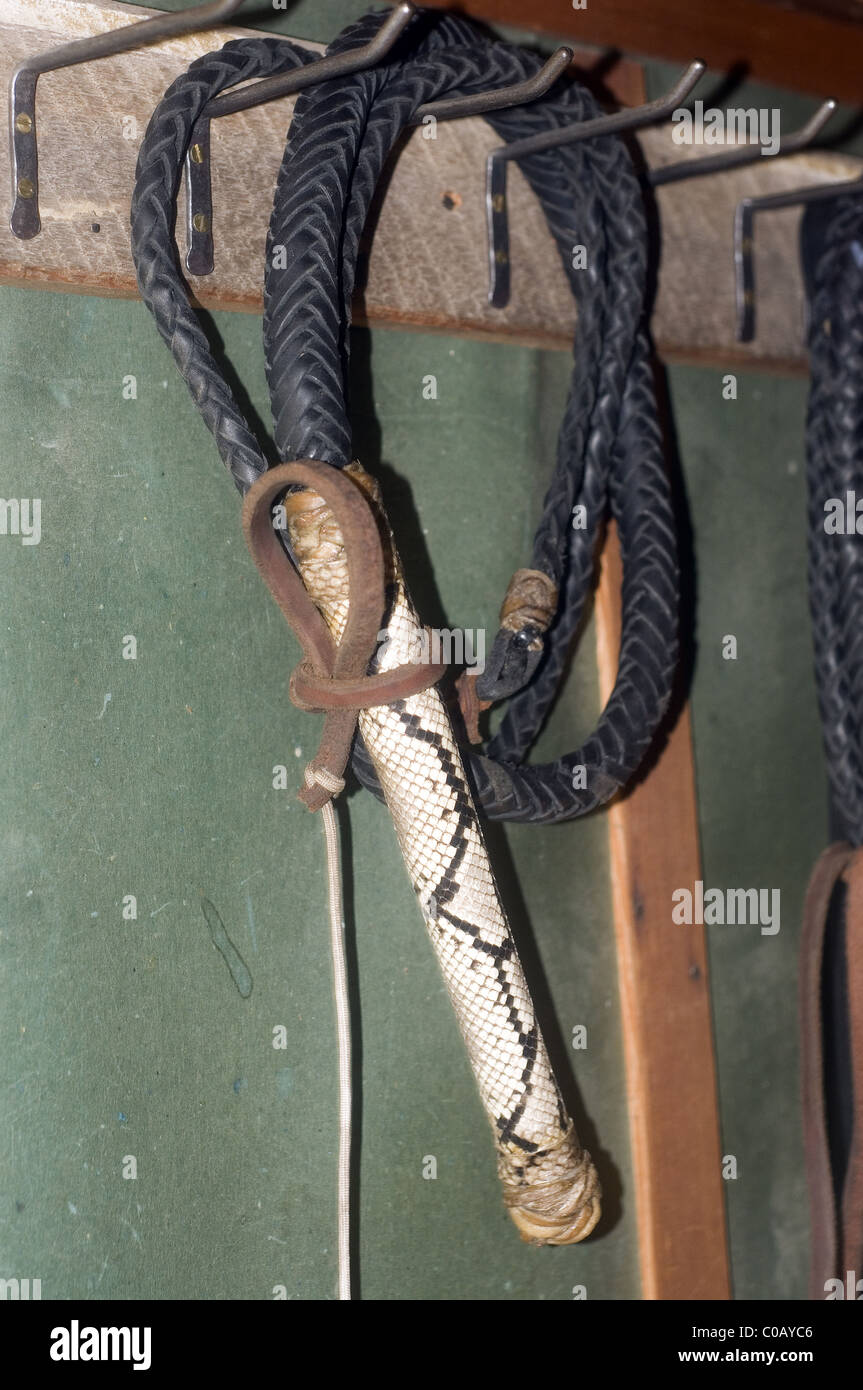 Nacional crisantemo Inclinarse Bullwhip colgantes con un asa de piel de serpiente Fotografía de stock -  Alamy