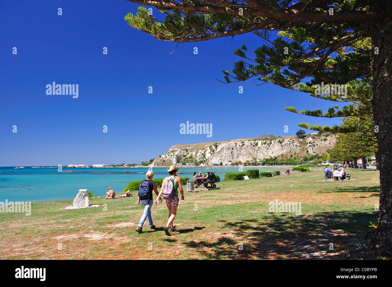 Paseo marítimo, Kaikoura, Canterbury, Isla del Sur, Nueva Zelanda Foto de stock