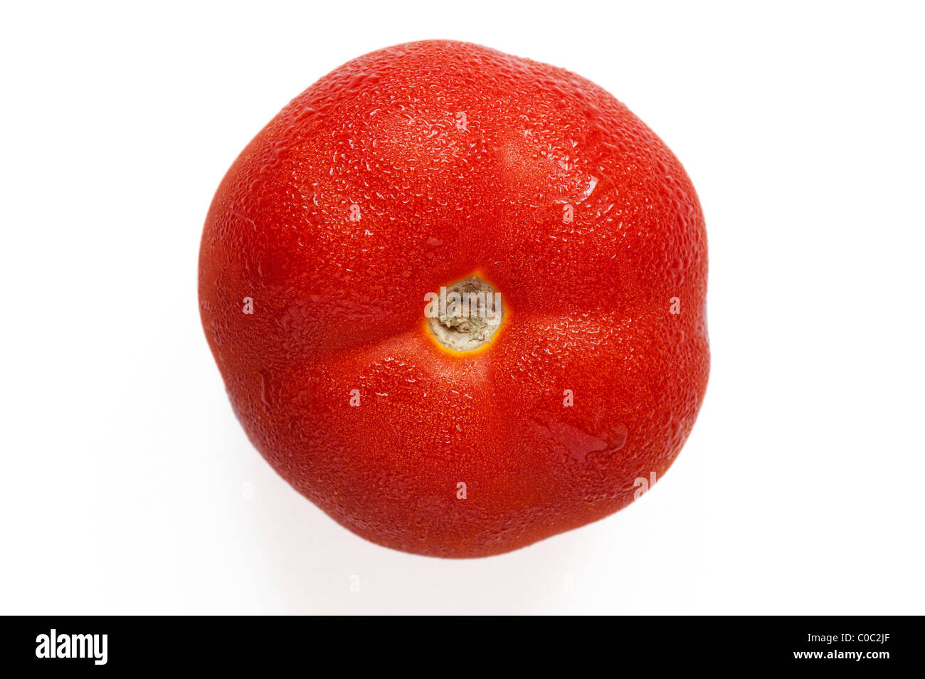El tomate y la condensación sobre fondo blanco. Foto de stock