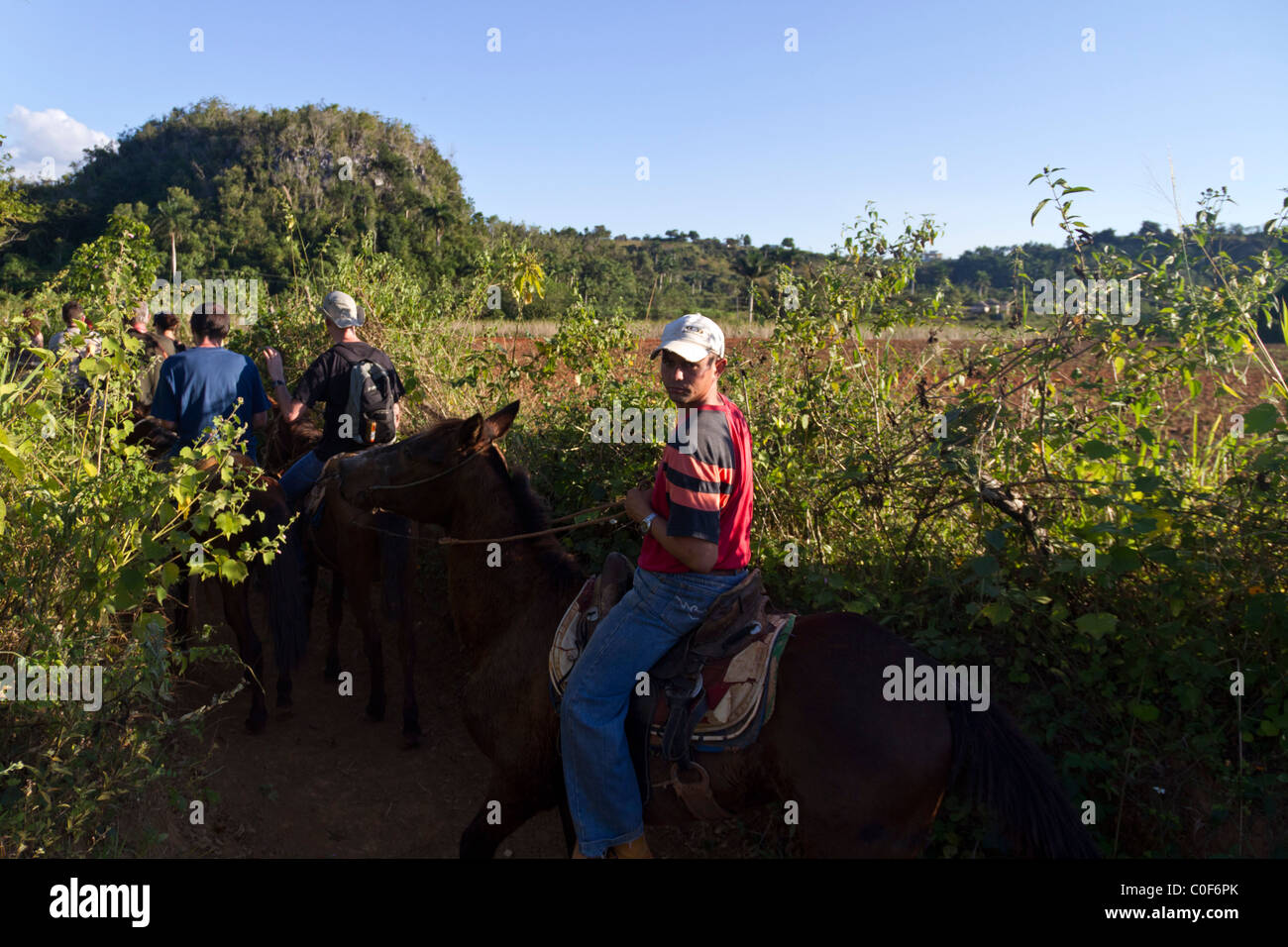 Grupo de equitación cerca de los campos de tabaco en el Valle de Viñales, Cuba, provincia de Pinar del Rio, Foto de stock