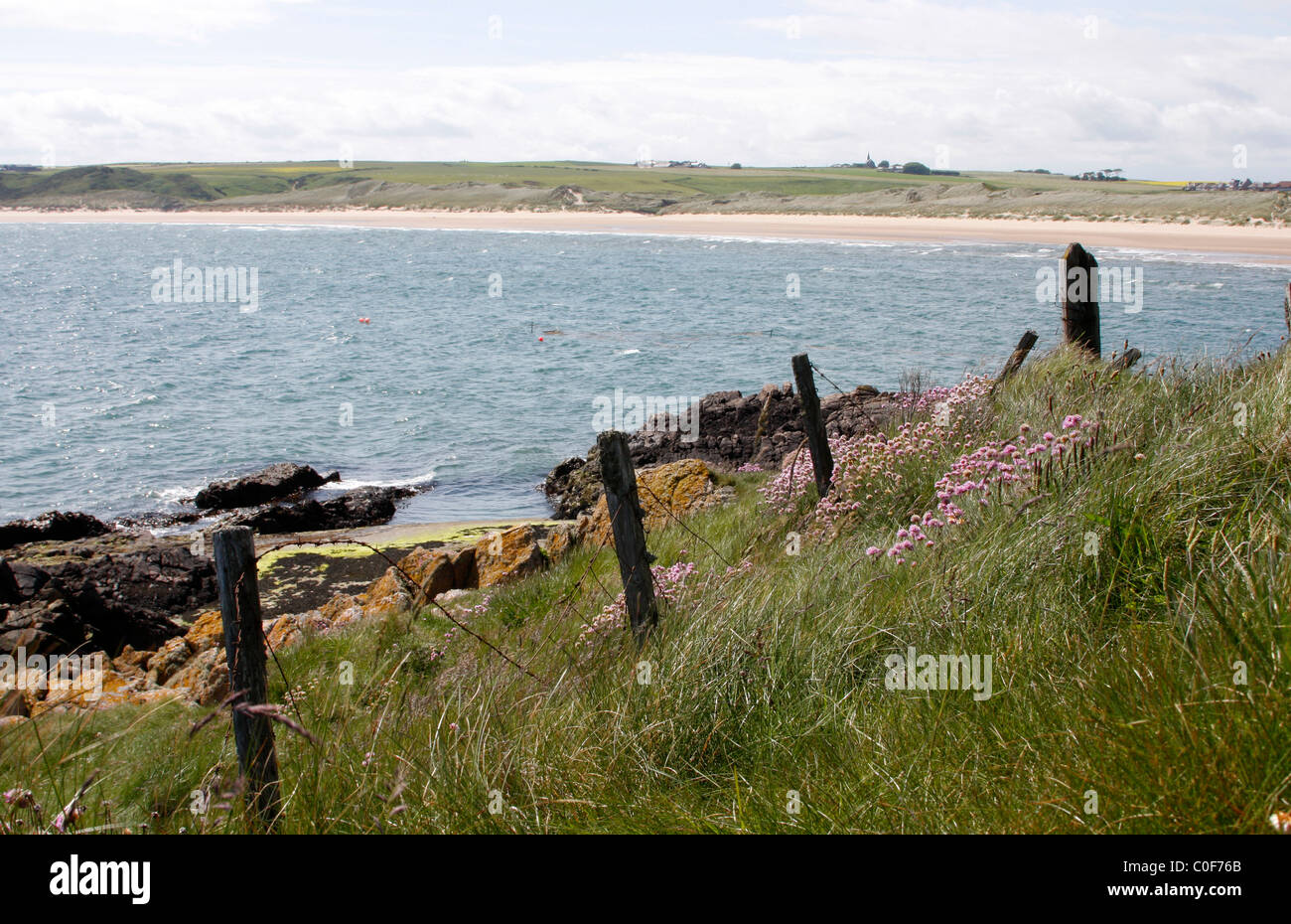 Vista de Cruden Bay desde detrás del puerto, aberdeenshire, Nordeste de Escocia Foto de stock