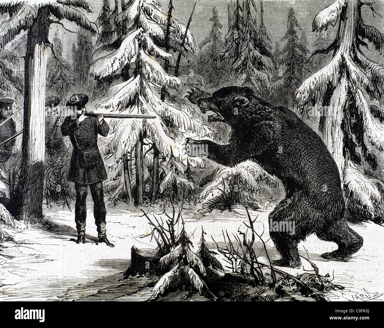 La aristocracia rusa durante un oso cazar. Grabado 'La Ilustración española y americana" (1875). Foto de stock