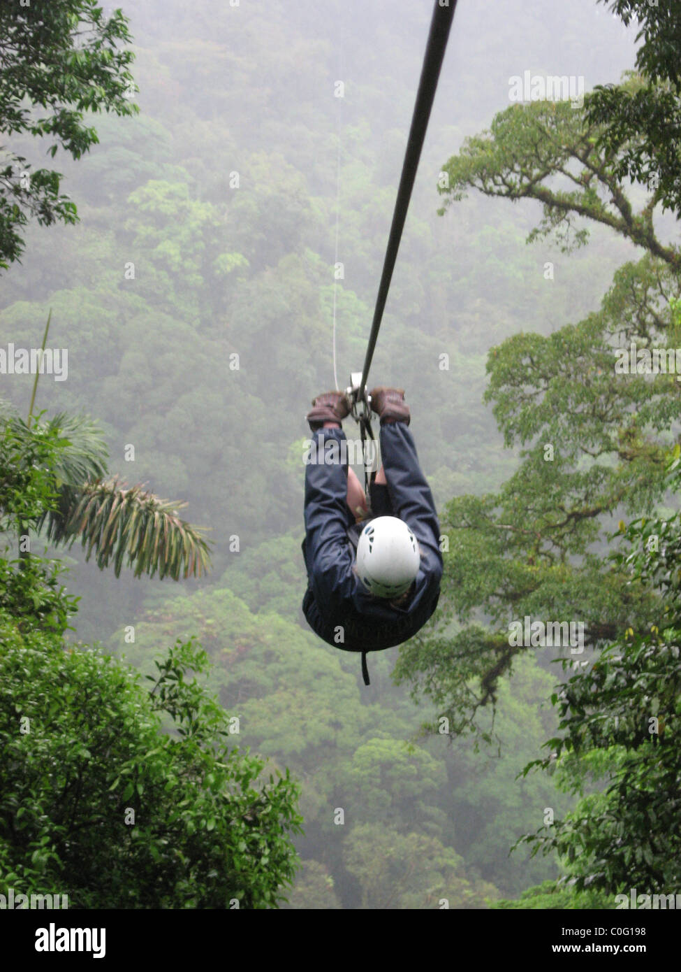 Canopy en Costa Rica Foto de stock