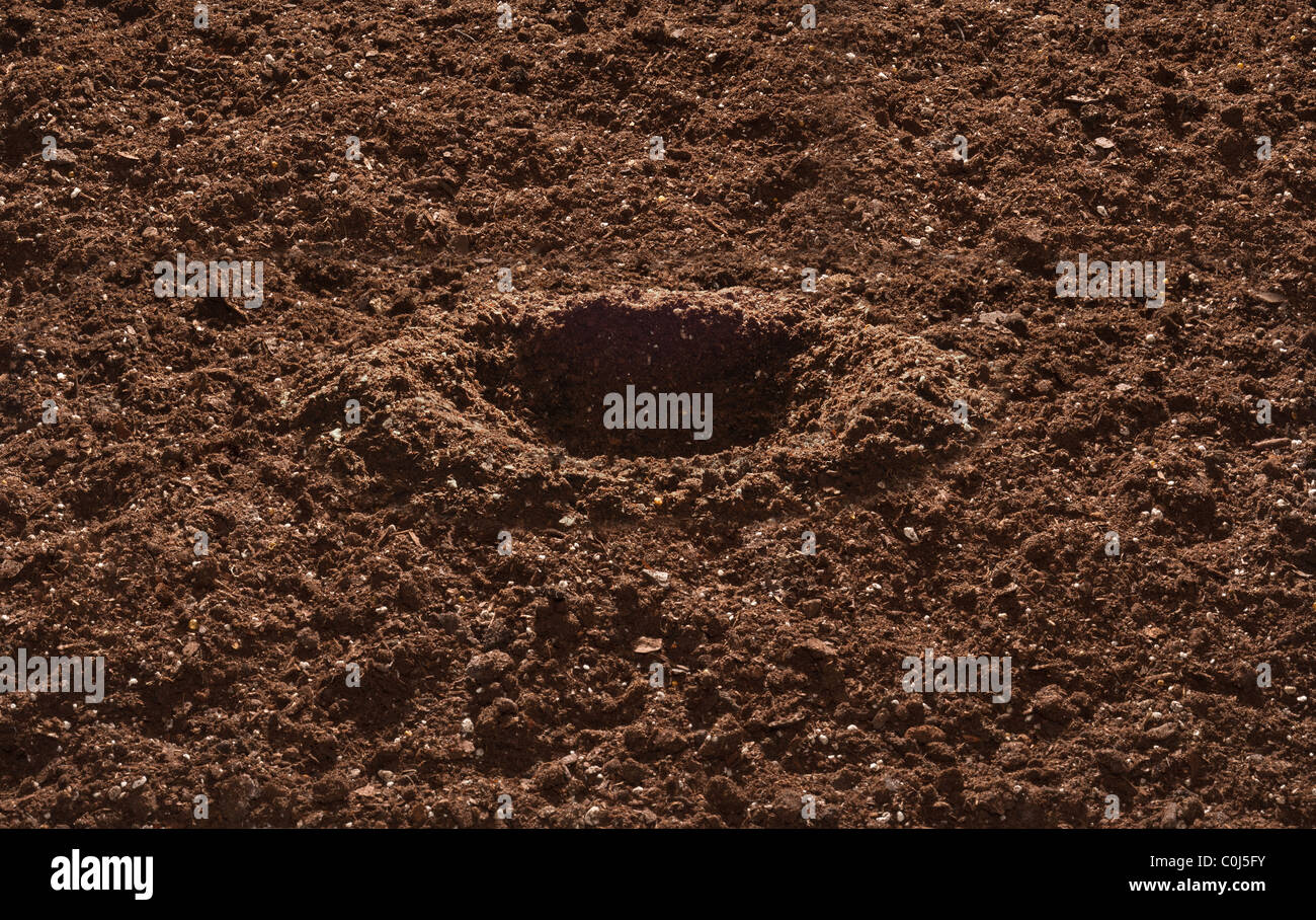 Tierra De Jardin Con Agujero Cavado Para Plantar Fotografía De Stock Alamy 8999