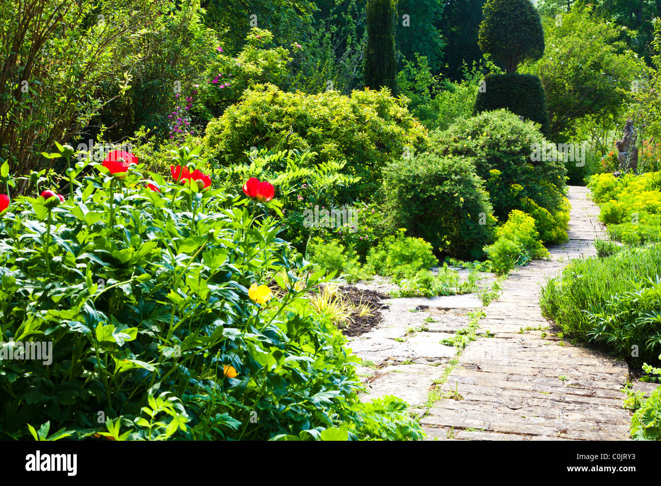 Un jardín pavimentado camino entre los arbustos y los bordes florales en inglés un país jardín en verano Foto de stock
