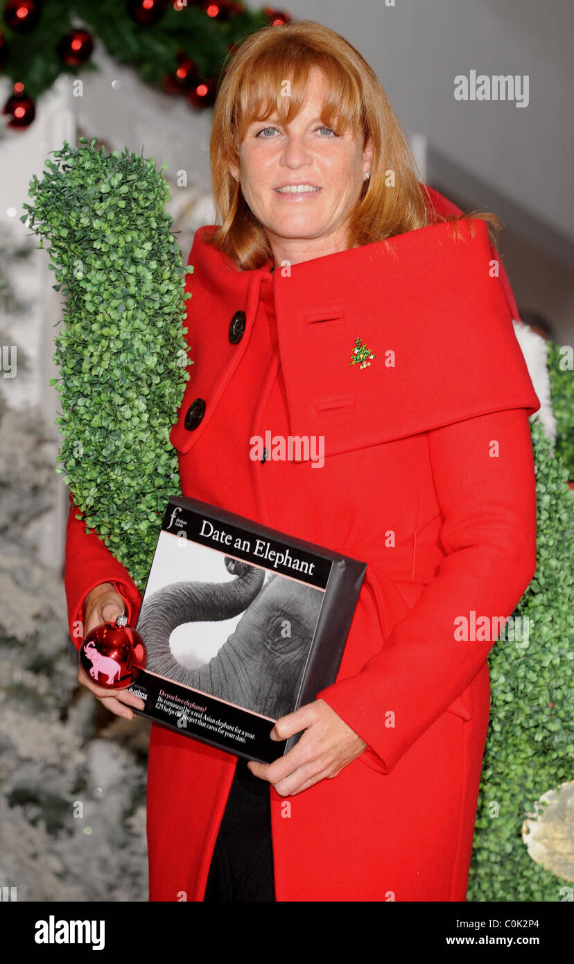 Sarah Ferguson, la Duquesa de York el lanzamiento de Selfridges' 'Green' Christmas Shop Londres, Inglaterra - 07.08.08 Foto de stock