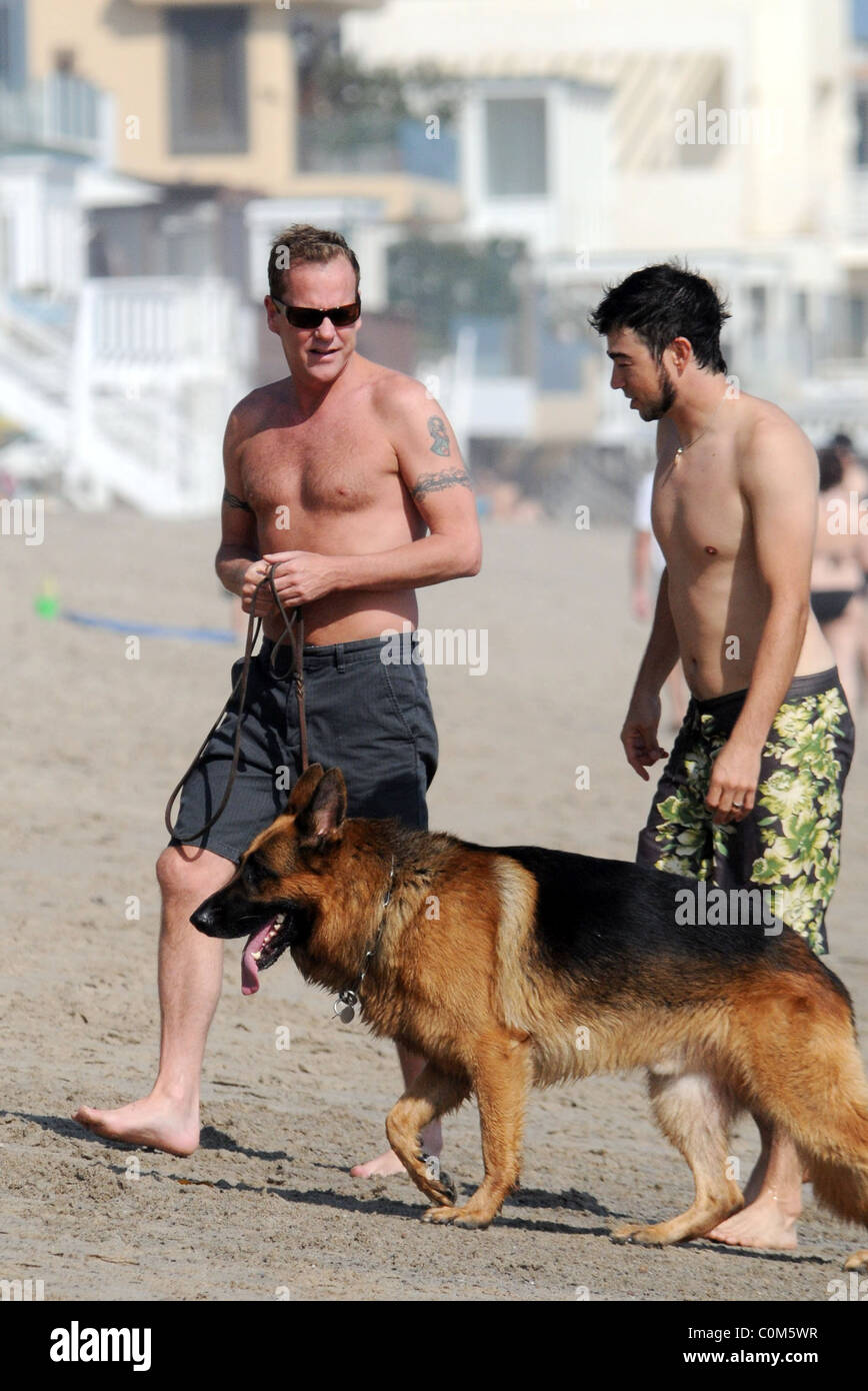 Kiefer Sutherland camina su perro con un amigo en Malibu Beach Los Angeles,  California - 31.08.08 Fotografía de stock - Alamy