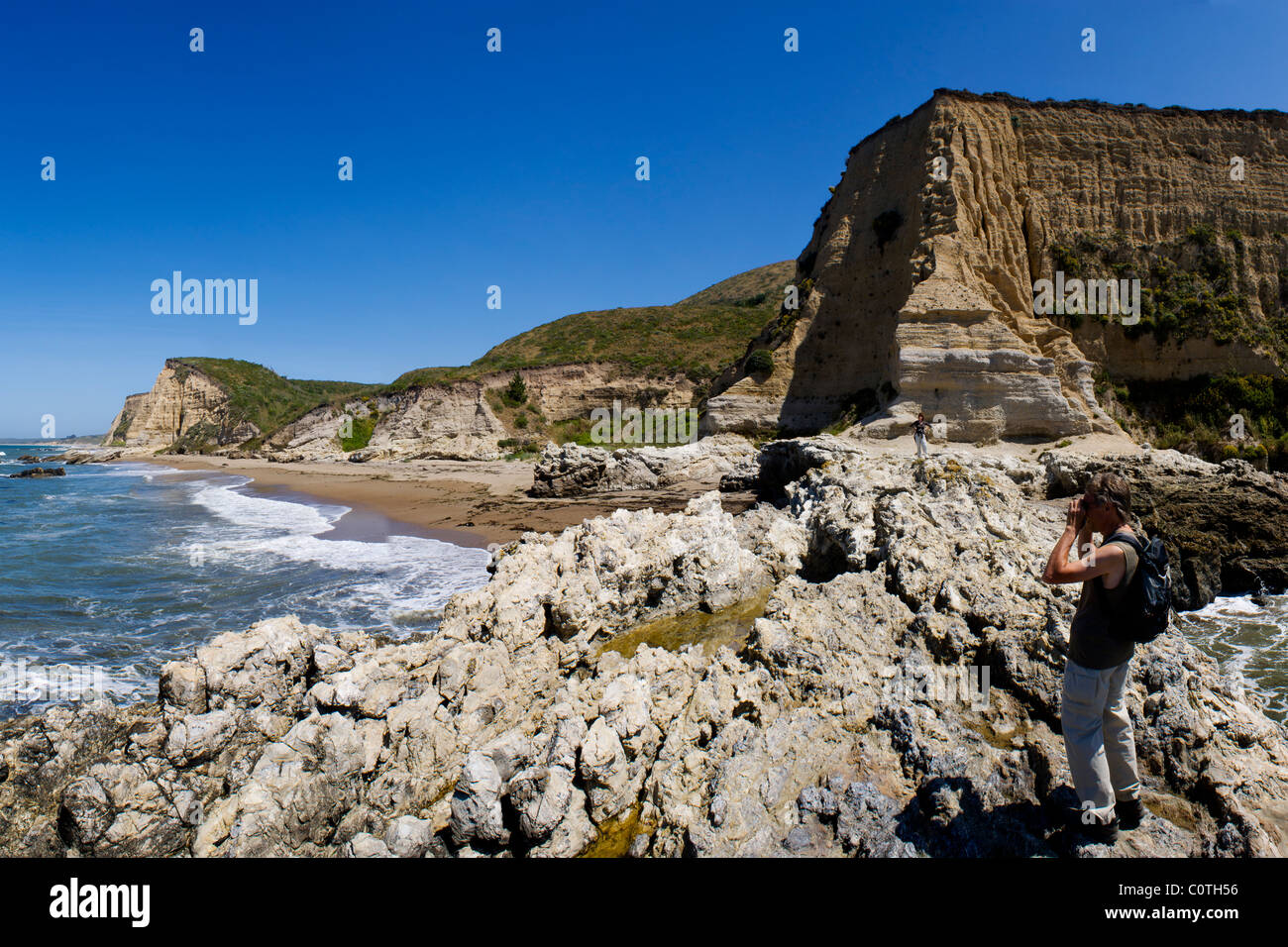 Esculturas de playa. Point Reyes National Seashore Foto de stock