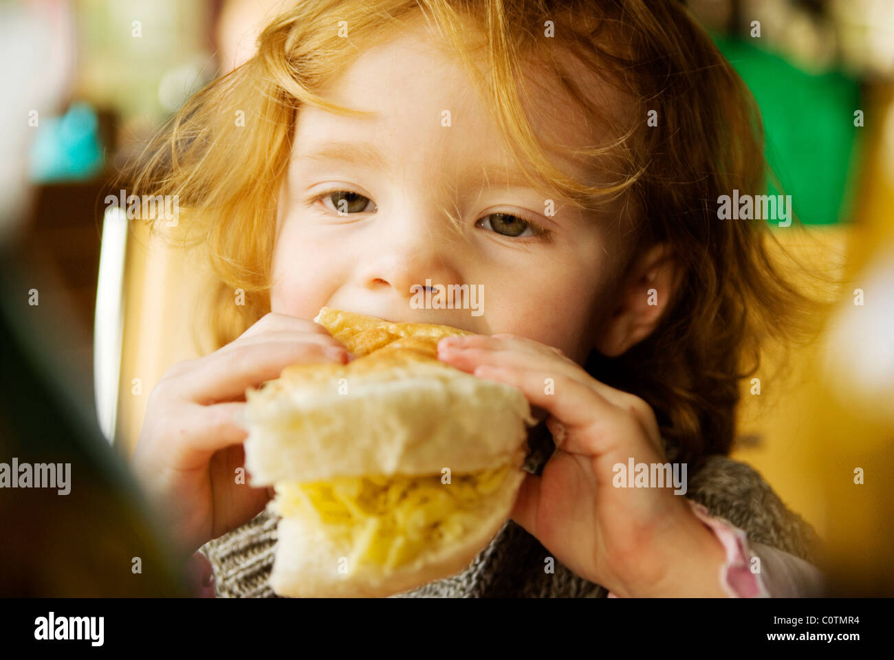 Niño preescolar femenino de comer un gran rollo de queso Foto de stock