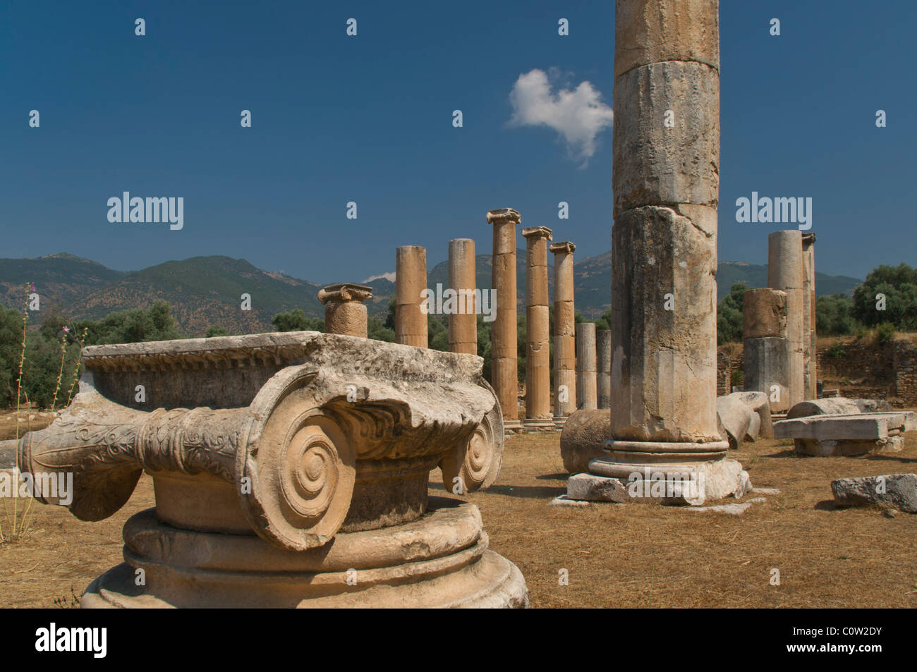 Columnas jónicas en exhibición en la stoa en Nysa, cerca Sultanhisar, Aydın, Turquía Foto de stock