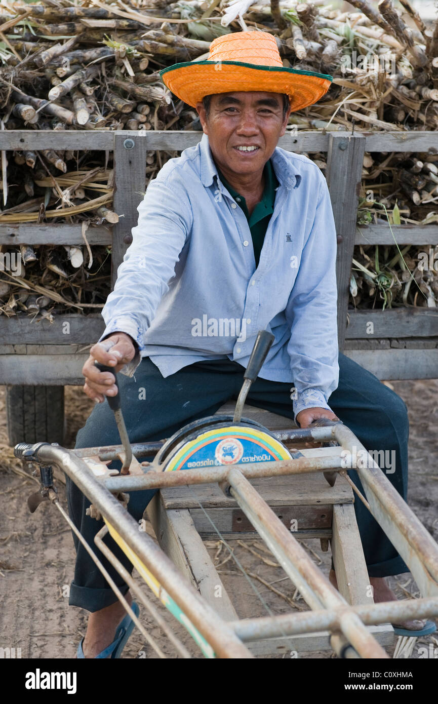 En Isan de agricultores del noreste de Tailandia transportar su día de cosecha de caña de azúcar para la cooperativa local para el pesaje y venta. Foto de stock