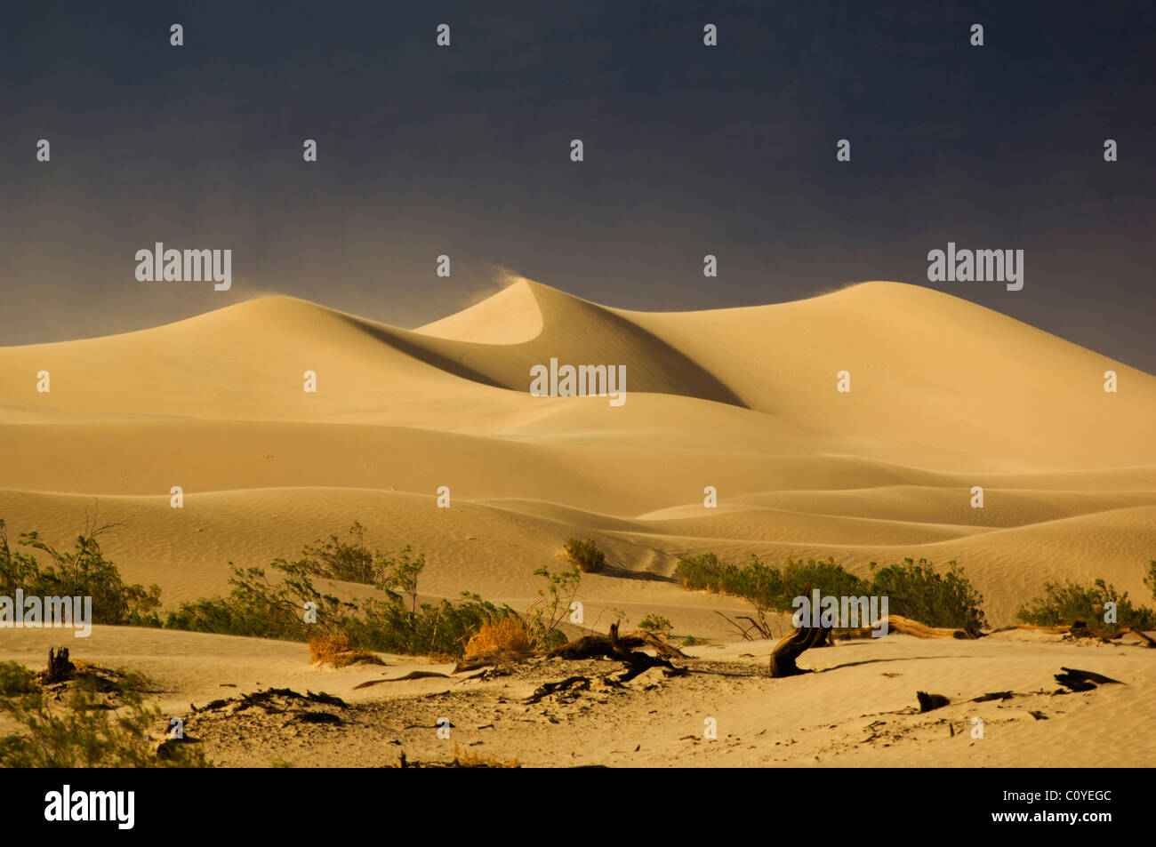 Arena y ondulaciones de arena en las dunas de las Mesquite Flats, Stovepipe Wells, Parque Nacional del Valle de la muerte, California, EE.UU Foto de stock