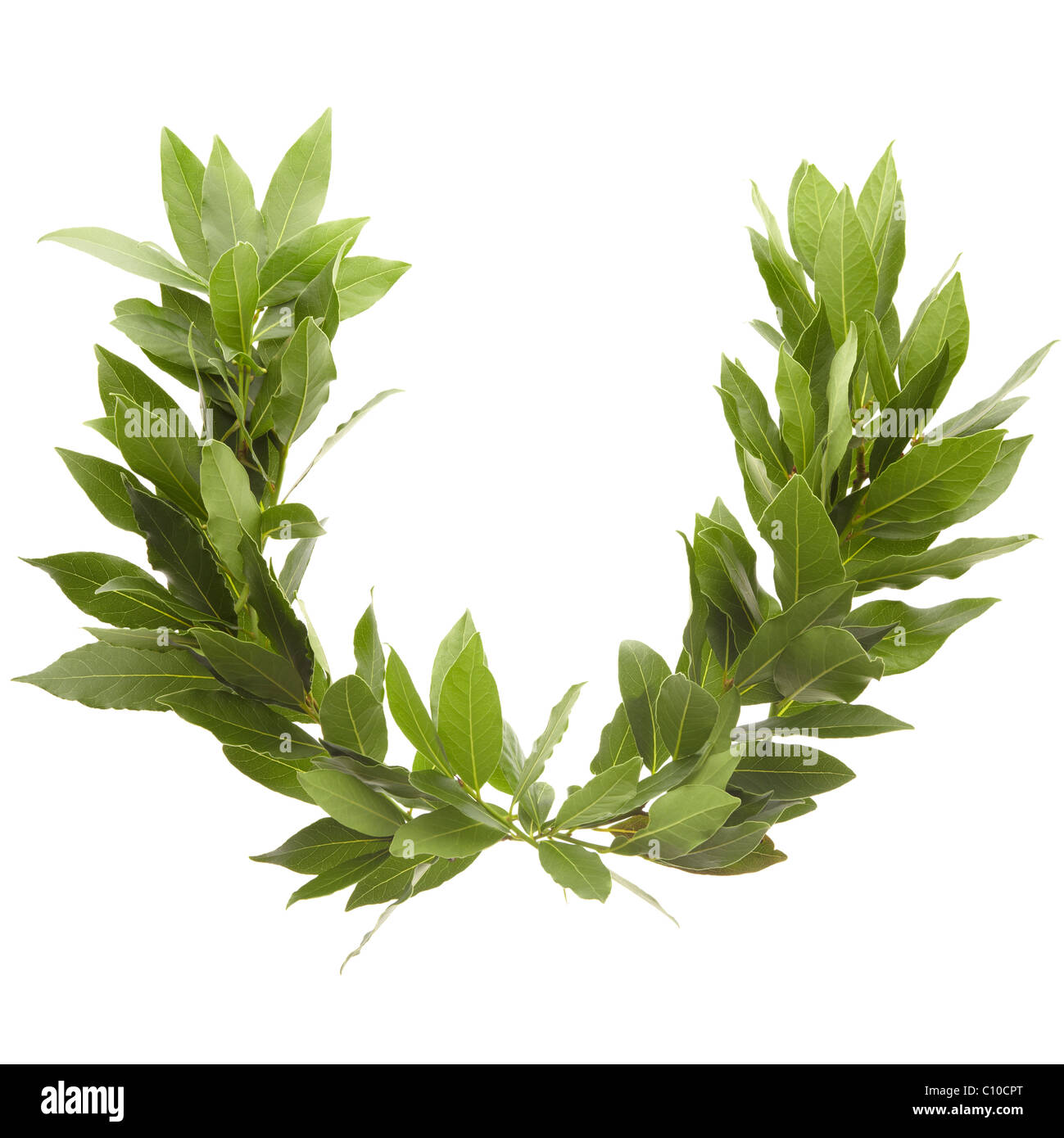 Lista 90+ Foto Que Significa La Corona De Laurel Lleno