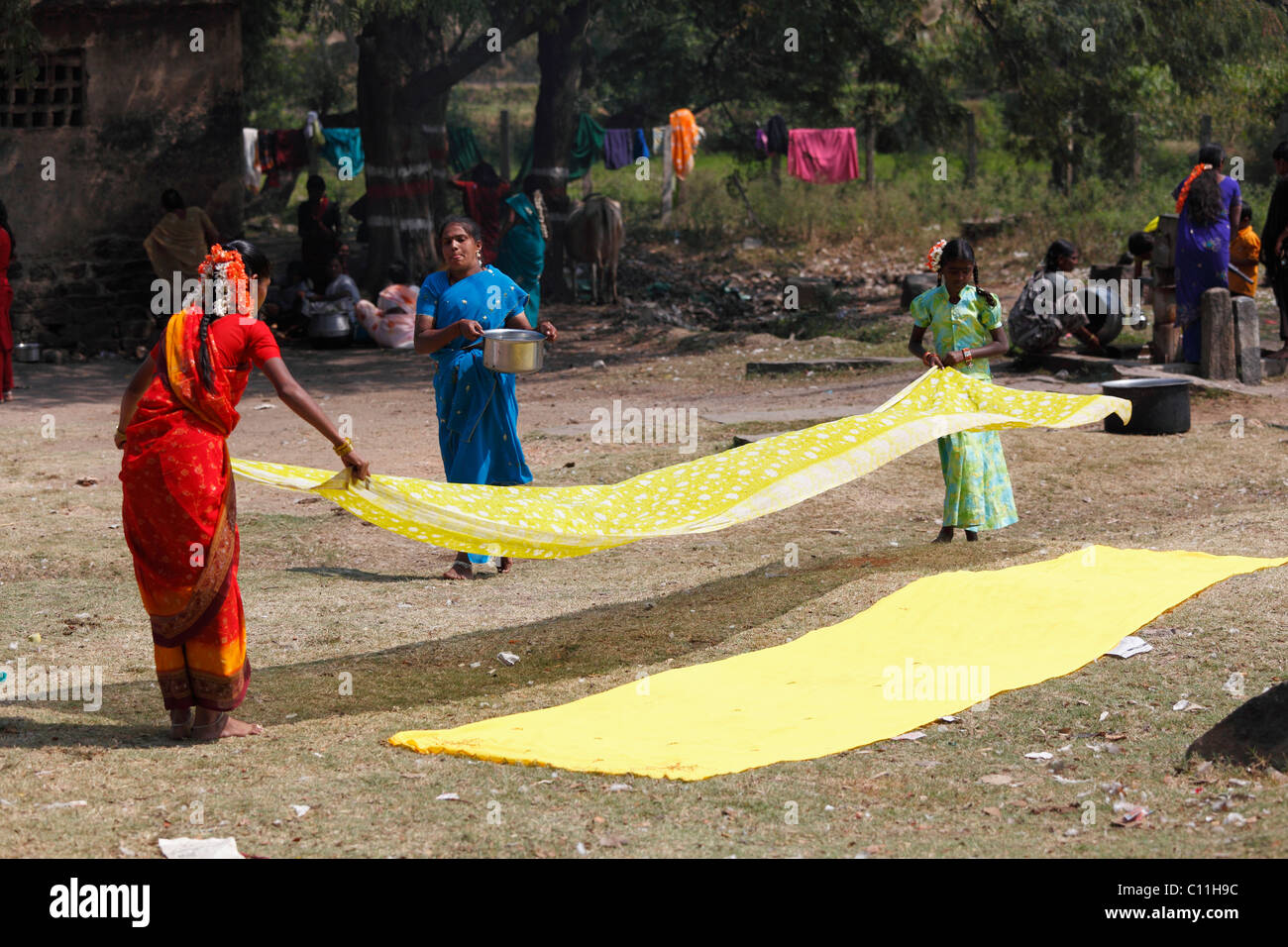 Paños amarillo se distribuye, Nanjangud, Karnataka, India del Sur, India, Asia Meridional, Asia Foto de stock