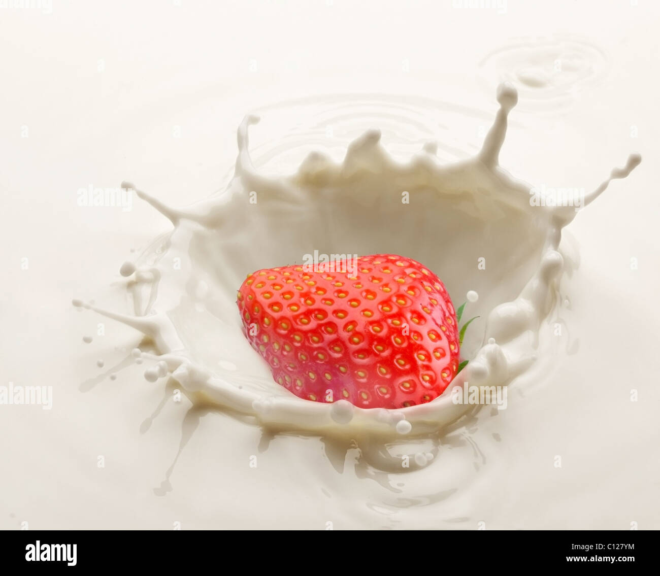 Salpicadura de leche, causadas por la caída en una fresa madura. Foto de stock