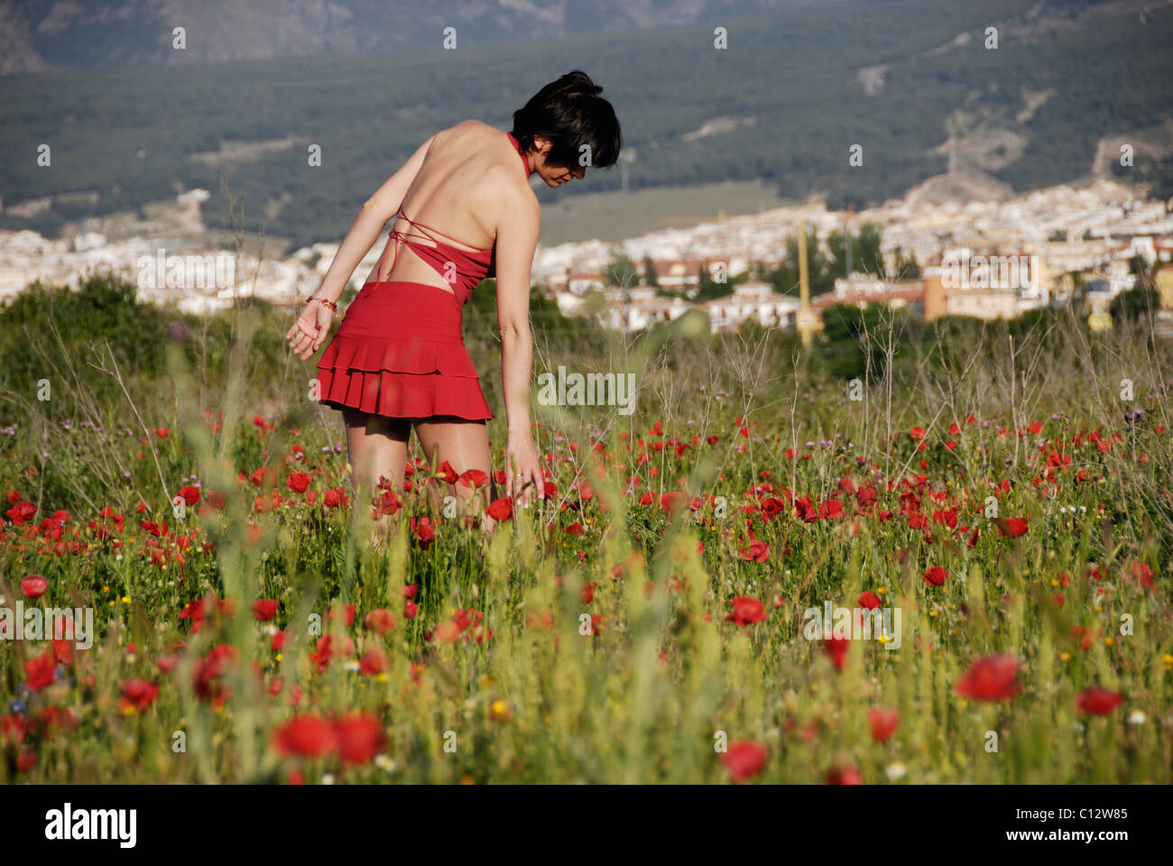 Adolescente en el campo de flores silvestres, Granada, Andalucía Foto de stock