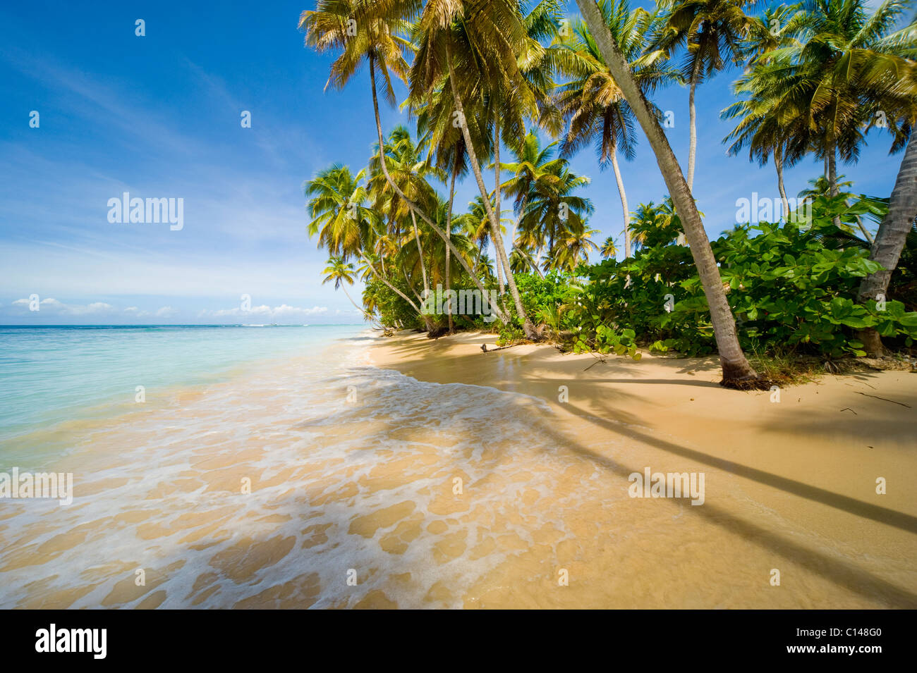 Playa caribeña, tropical. Foto de stock
