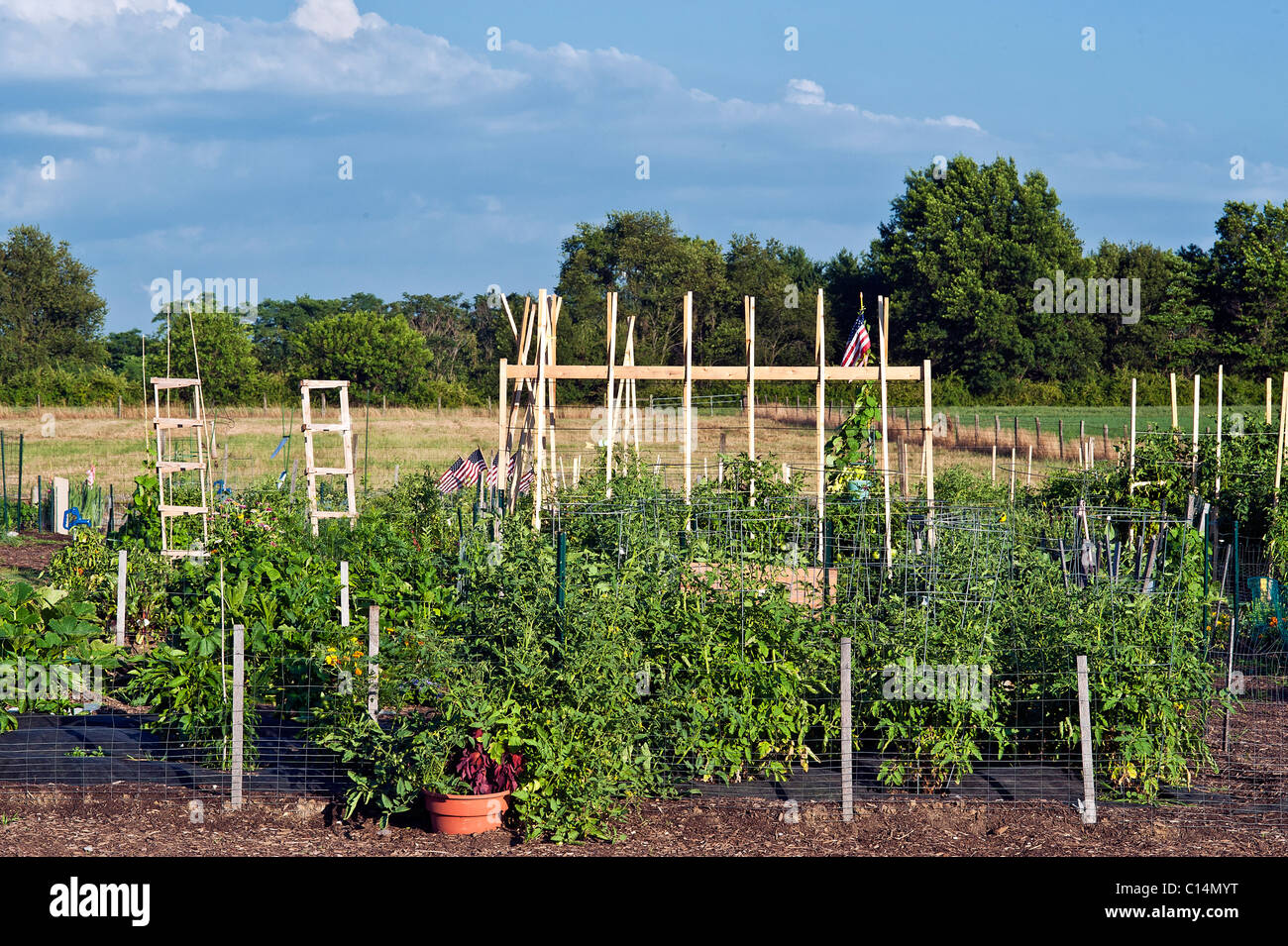Jardín comunitario Foto de stock