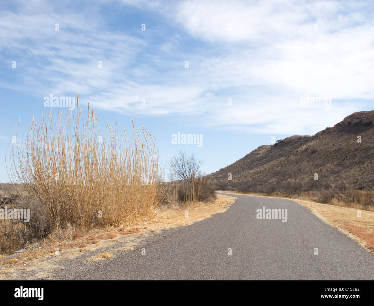Post Park Road, County Road en el oeste de Texas cerca de la ciudad de Maratón, situado en el extremo norte del desierto de Chihuahua. Foto de stock