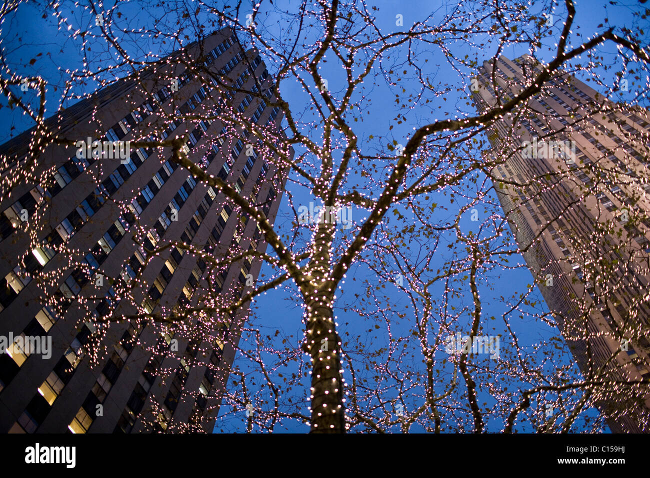 El Rockefeller Center en la noche con las luces del árbol de Noël Foto de stock