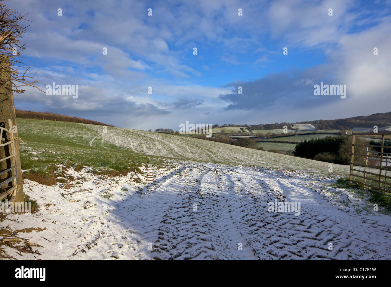 Campos de sol durante el invierno, cerca Pilsden Pen, Dorset, oeste del país, Inglaterra, UK, Reino Unido, GB, Gran Bretaña, Islas Británicas, UE Foto de stock