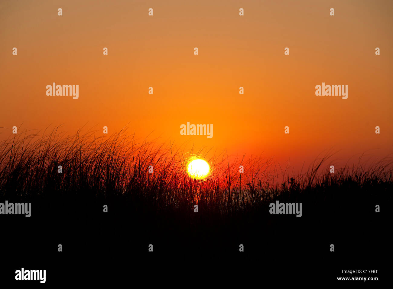 Amanecer costero, en Cape Cod, MA, EE.UU. Foto de stock