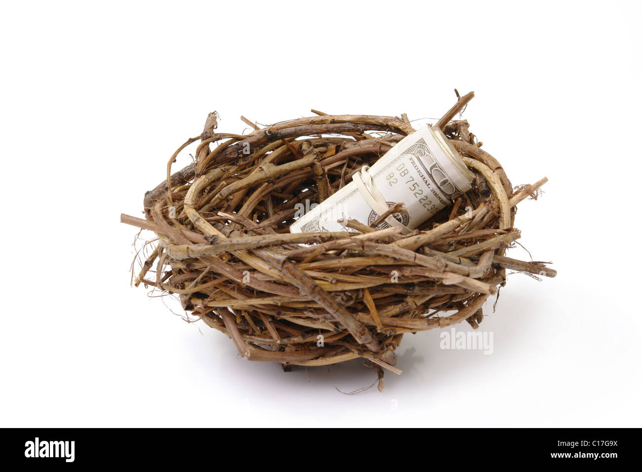 Rollo de billetes de cien dólares americanos en nido de pájaro sobre fondo blanco. Foto de stock