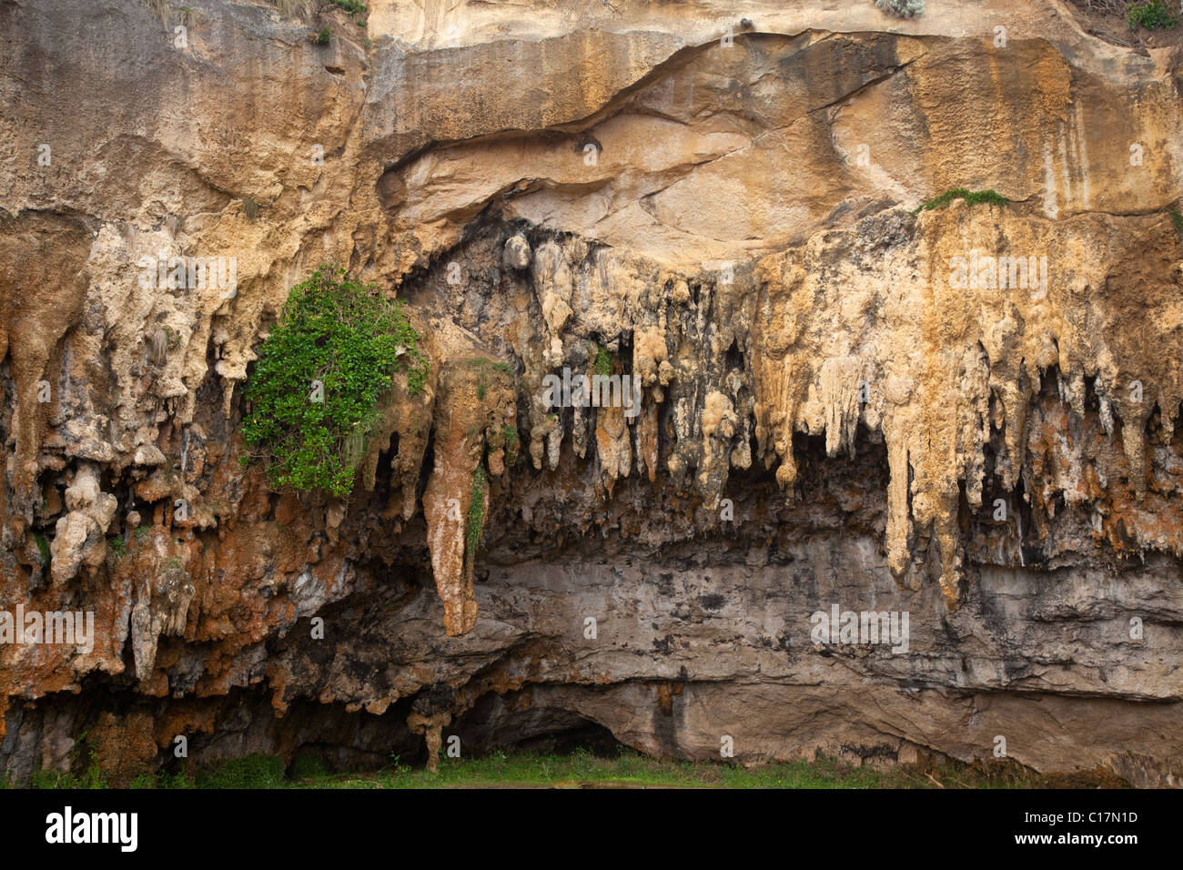Expuesta cueva, Loch Ard Gorge, Port Campbell National Park, a lo largo de la Great Ocean Road, Victoria, Australia Foto de stock