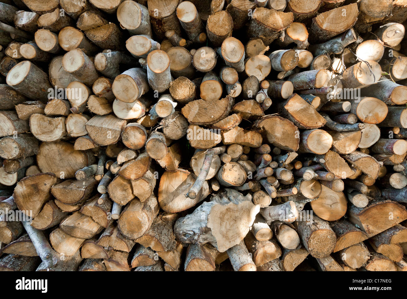 Pila de troncos de madera en espera de la serrería Foto de stock