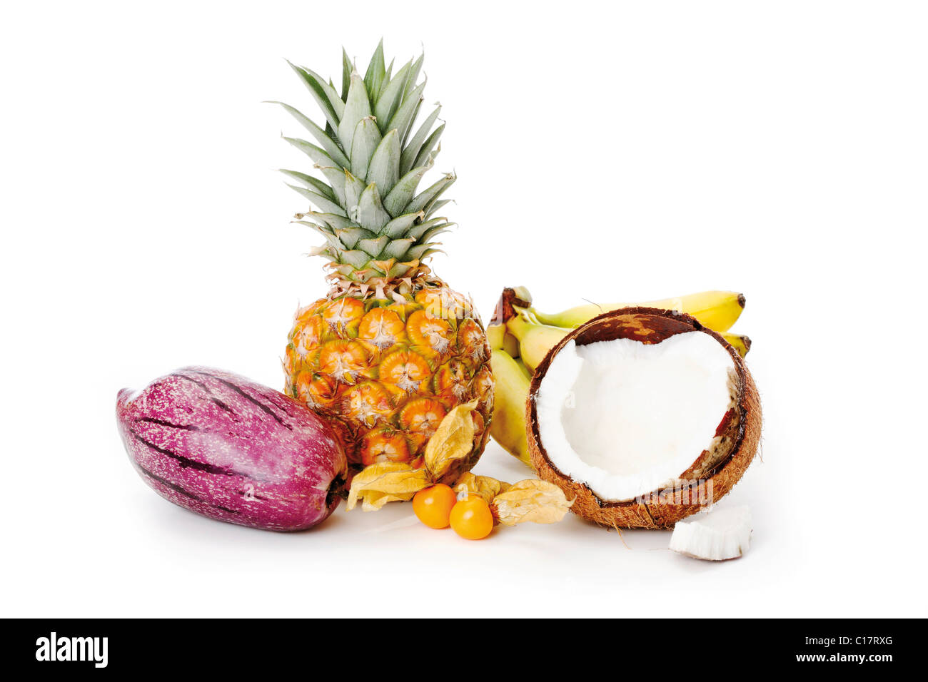 Composición de las frutas tropicales, Baby de piña (Ananas comosus), plátano (Musaceae), coco (Cocos nucifera), Uchuva Foto de stock