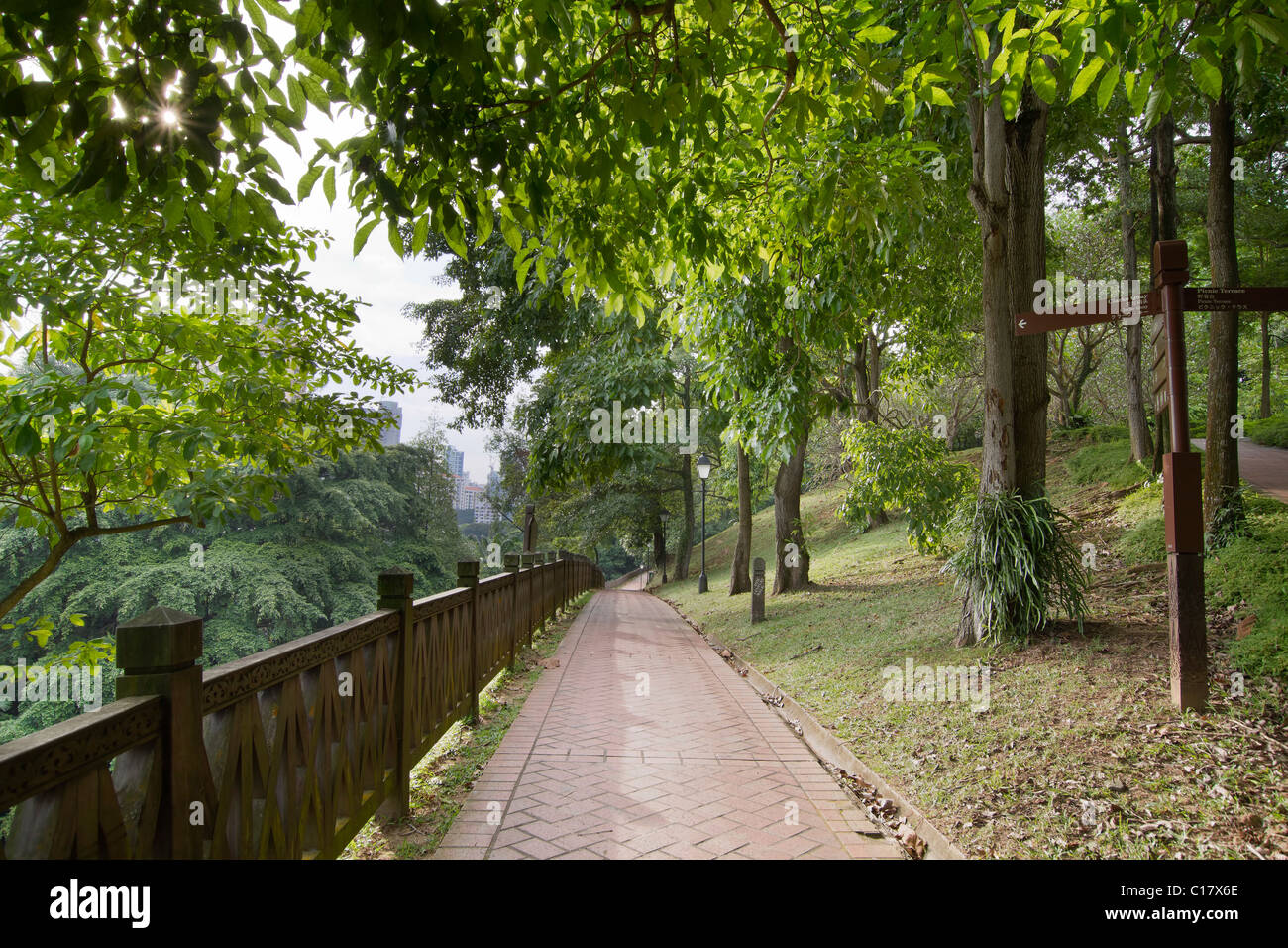 Siglo sendero para caminatas en el Parque Fort Canning en Singapur. Foto de stock
