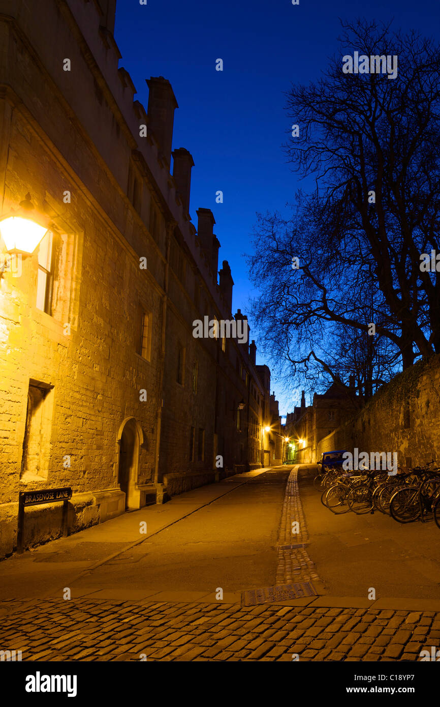 Brasenose Lane, luz del atardecer, de la Universidad de Oxford, Oxford, Oxford, Inglaterra, UK, Reino Unido, GB, Gran Bretaña, British I Foto de stock