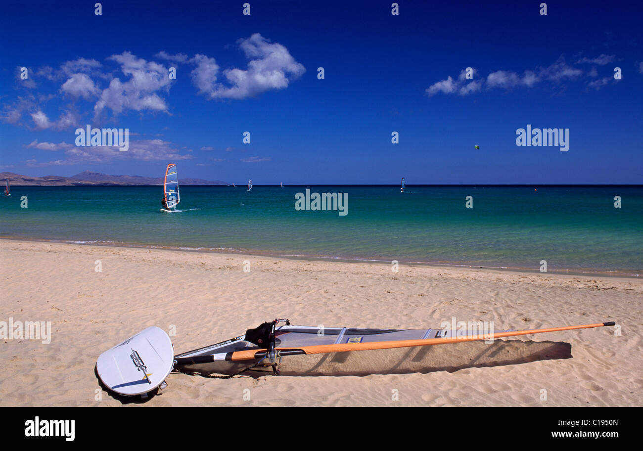 Tablas de surf y windsurf en la Playa de Sotavento, Fuerteventura, Islas Canarias, España