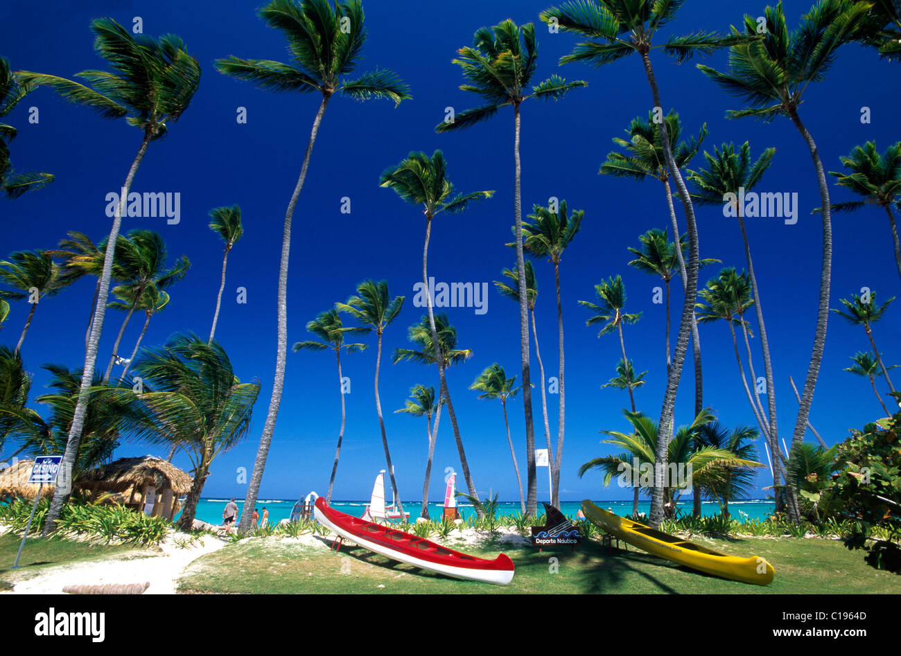 Palm Beach en la Playa Bavaro, Punta Cana, República Dominicana, El Caribe Foto de stock