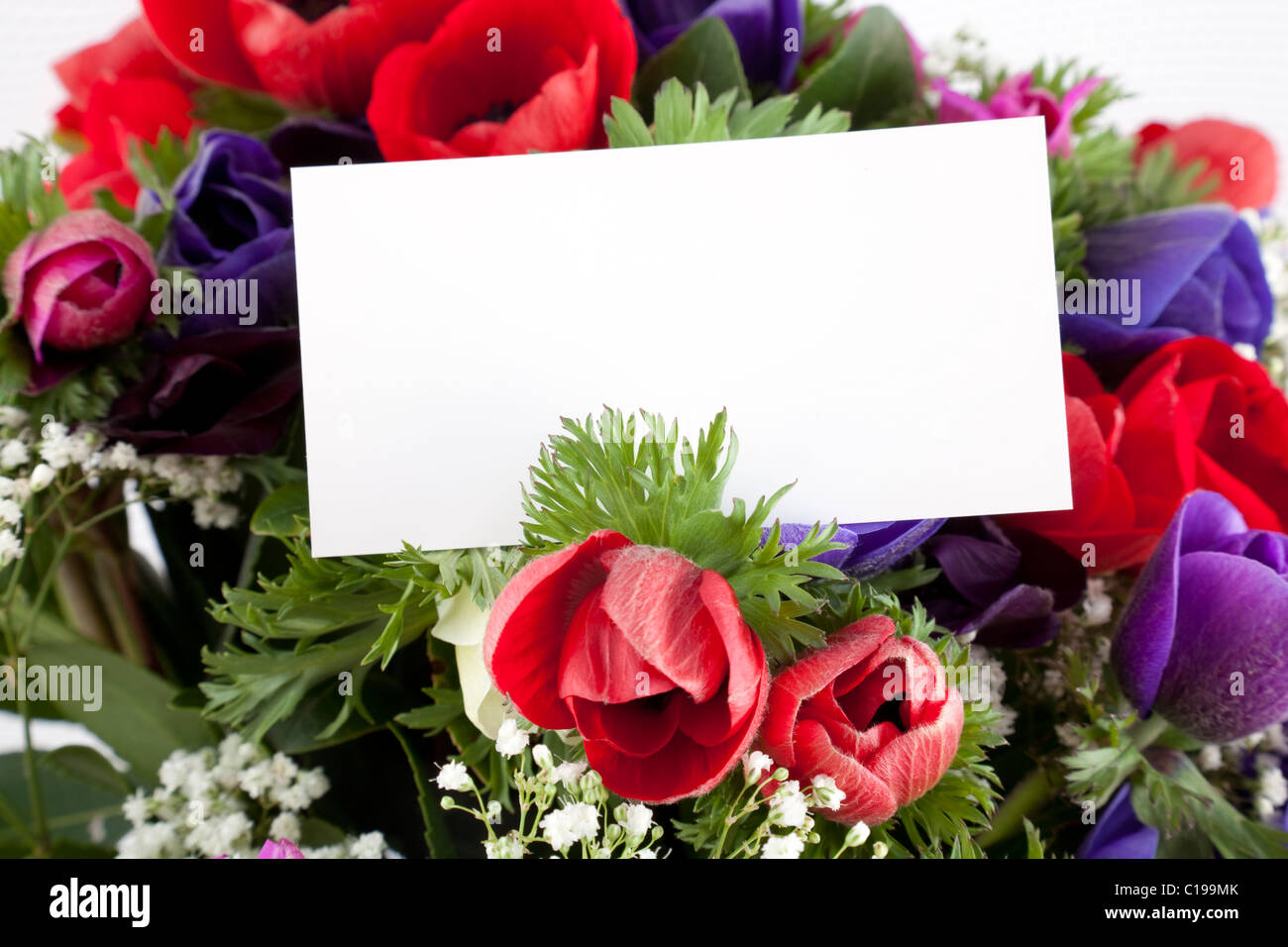 Precioso ramo de flores con tarjetas en blanco para poner su mensaje  Fotografía de stock - Alamy