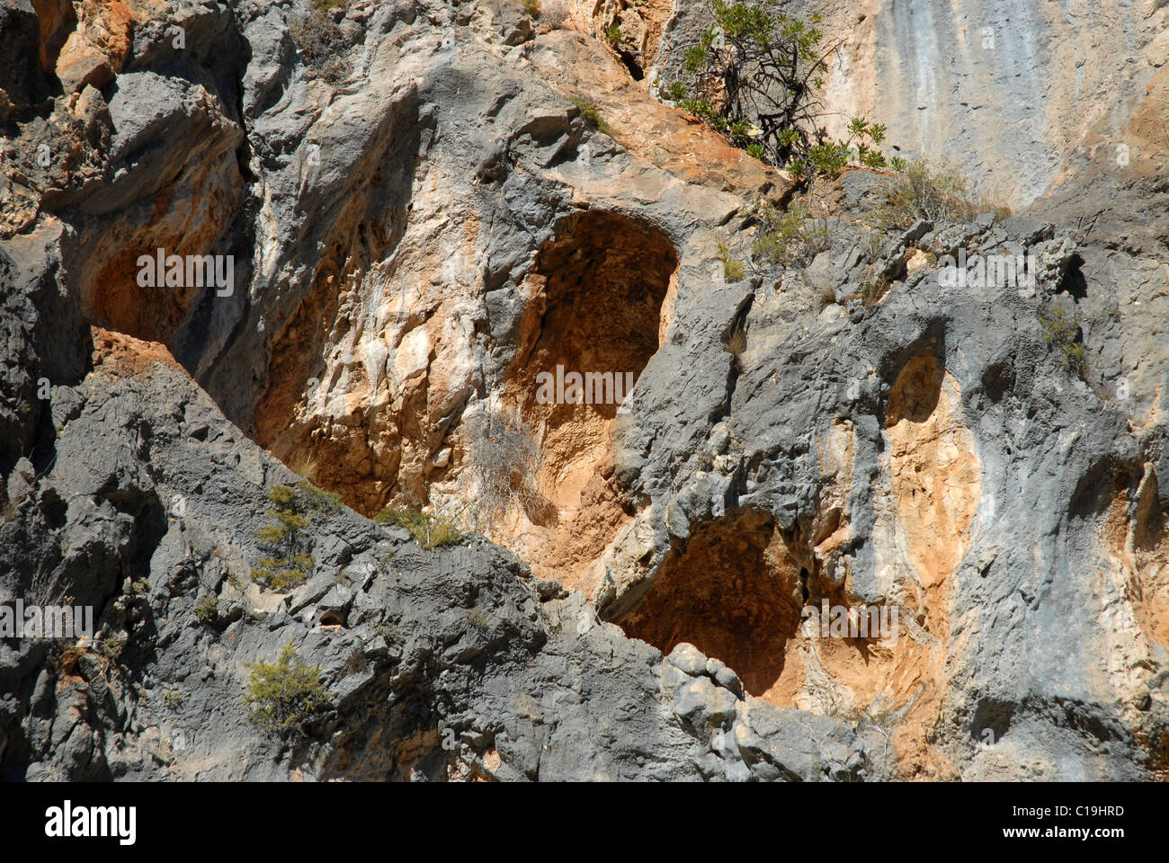 Arte rupestre neolítico , Pla de petracos, cerca de Castell de Castells, la Marina Alta, provincia de Alicante, Valencia, España Foto de stock