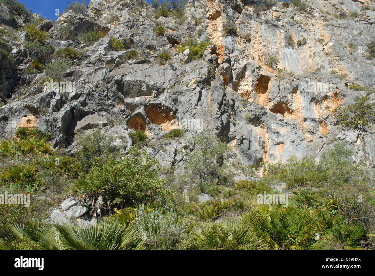 Arte rupestre neolítico , Pla de petracos, cerca de Castell de Castells, la Marina Alta, provincia de Alicante, Valencia, España Foto de stock