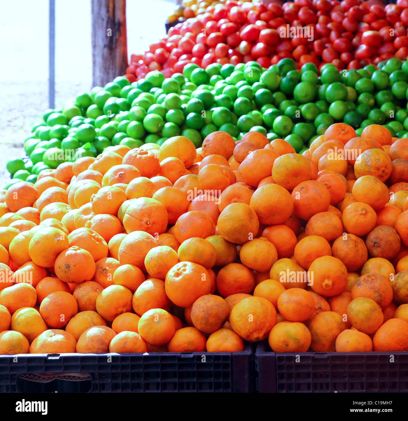 Mandarina naranjas limones y tomates en el mercado Foto de stock