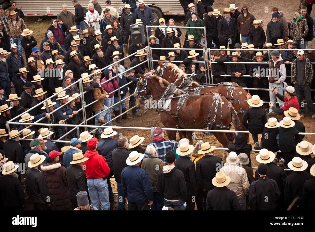 Reloj de caballos fotografías e imágenes de alta resolución Alamy
